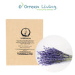 Herbs- FL363 French Lavender ‘Bandera Purple’ (20 Seeds)