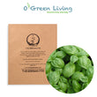 Herbs- S3 Basil "Italiano Classico" (100-200 Seeds)